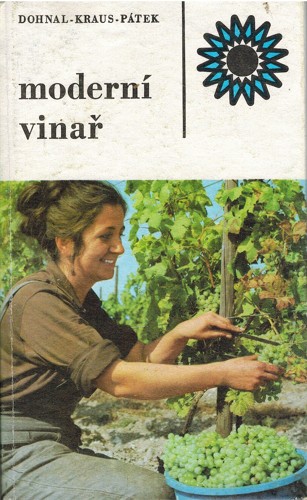Modern vina