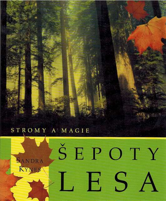 epoty lesa (stromy a magie)