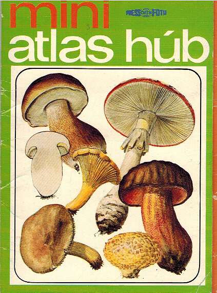 Mini atlas hb