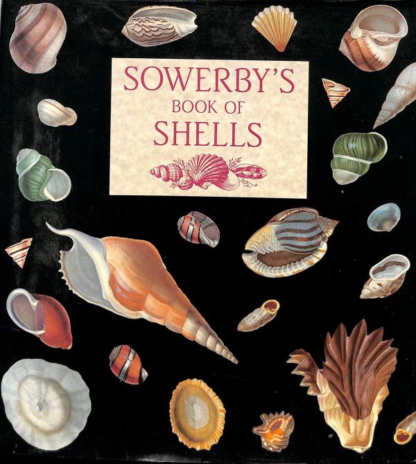 Sowerbys Book of Shells