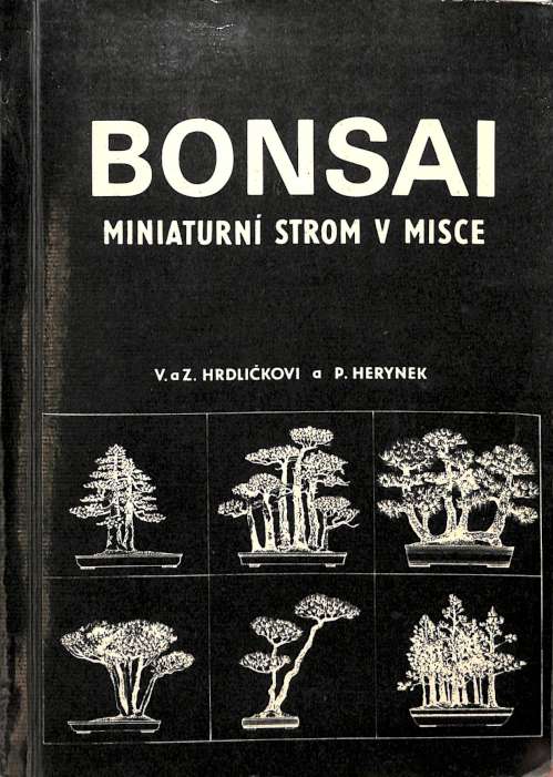 Bonsai - miniaturn strom v misce