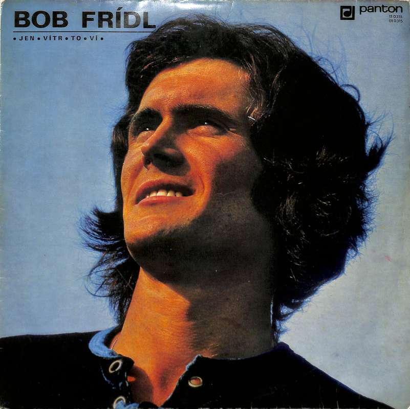 Bob Frídl - Jen vítr to ví (LP)