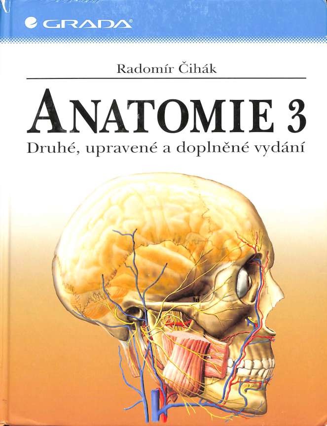 Anatomie 3.