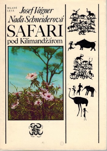 Safari pod Kilimandrom 